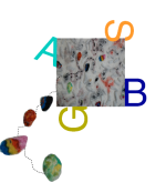 logo sbga transparant